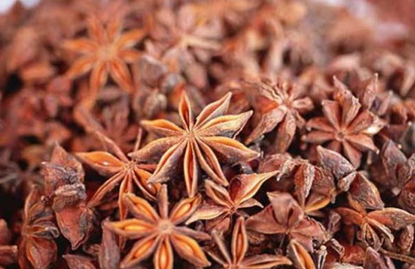 八角茴香的用量多少克_最大剂量、一般用量与作用功效