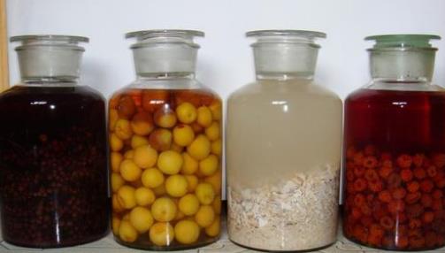 丁公藤风湿药酒的作用功效、组成成分与现代应用