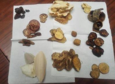 元胡止痛片的作用功效、组成成分与现代应用