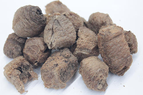 桑螵蛸散(胶囊)的新用途_临床应用、组成用量与禁忌