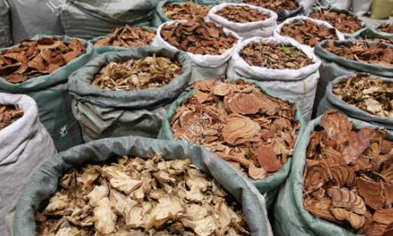 阴虚胃痛冲剂的作用功效、组成成分与现代应用