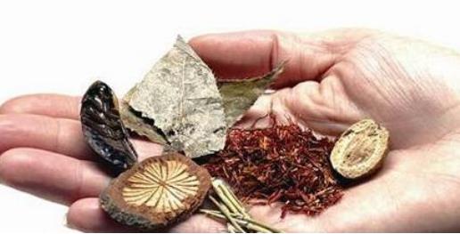 鱼腥草注射液的作用功效、组成成分与现代应用