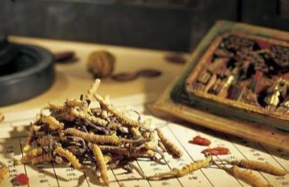 雷公藤多甙片的作用功效、组成成分与现代应用