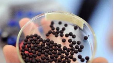 防风通圣丸(颗粒)的功效与作用_禁忌人群与用法用量