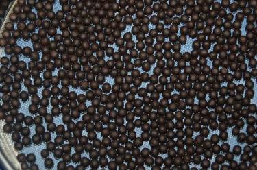 缩泉丸(胶囊)的功效与作用_禁忌人群与用法用量