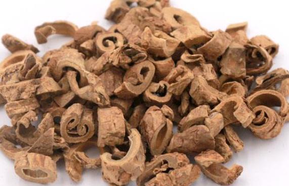 香加皮的用量与副作用_怎么解除消失