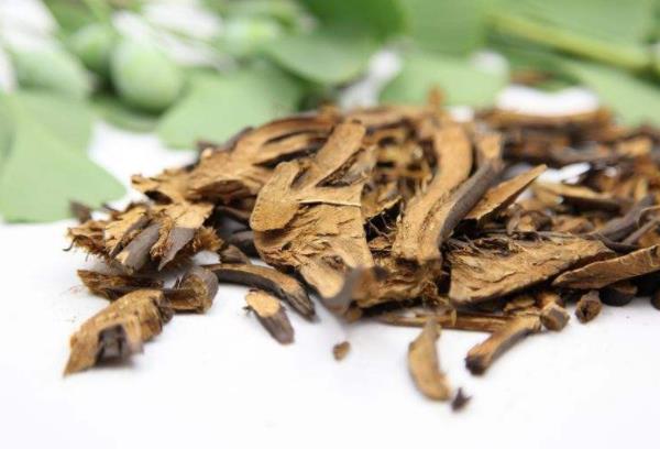 绵马贯众的用量与副作用_怎么解除消失