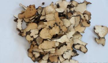 壁钱幕的别名是什么？壁钱幕学名药名又叫什么