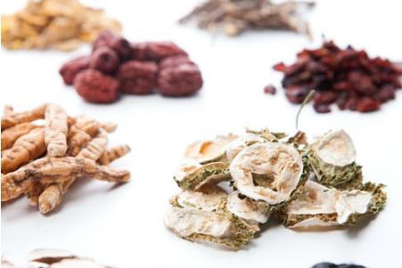 北沙参的性状特征、真伪鉴别、选购要点与食疗药膳
