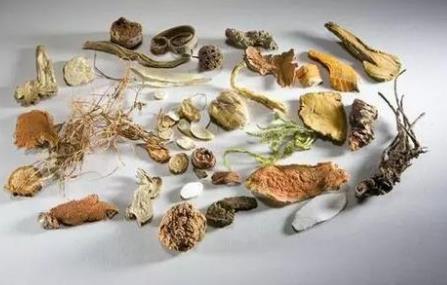 沙苑子的性状特征、真伪鉴别、选购要点与食疗药膳