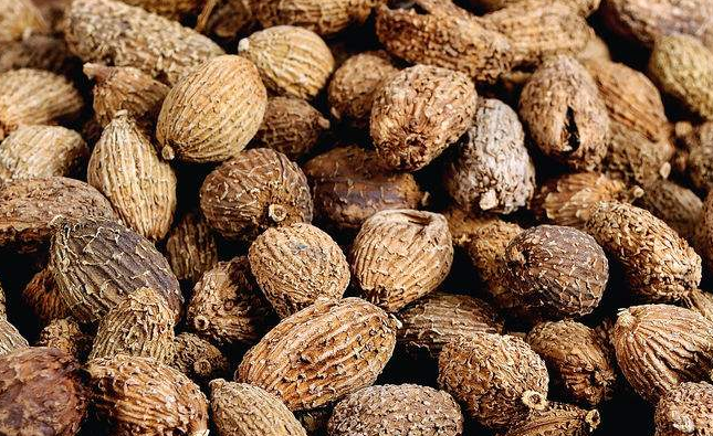 百日咳方(一)的作用功效、配方组成、方解与加减