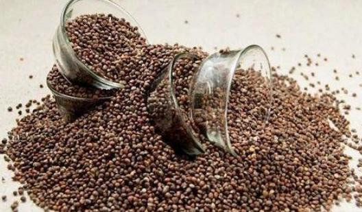 葱白能外用吗？葱白外敷的作用功效与用量主治