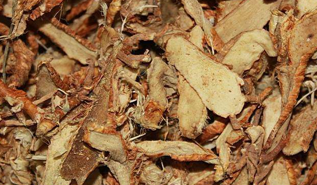 健脾消积汤的作用功效、配方组成、方解与加减