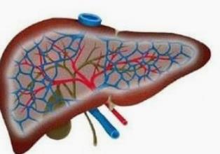 疏肝健脾解毒汤治疗慢性乙型肝炎效果与方法、经验