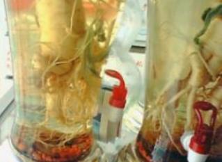 治疗麻风喝什么药酒好？中药酒药材配方大全