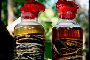 治疗带下喝什么药酒好？中药酒药材配方大全