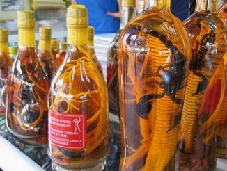 广西首乌酒(广西方)的作用功效、组成配方与制法禁忌