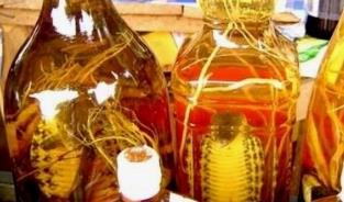 丹参酒《药膳食谱集锦》的作用功效、组成配方与制法禁忌