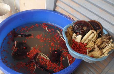 老中医梅毒怎么治？中医治疗药方配方处方大全