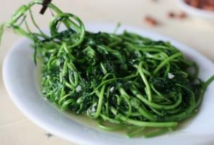 野生菜松子的吃法_养生吃法与做法