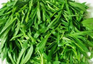 野苋菜的功效与作用禁忌_野苋菜禁忌人群与注意事项