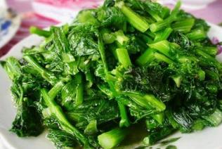 野茼蒿的功效与作用禁忌_野茼蒿禁忌人群与注意事项