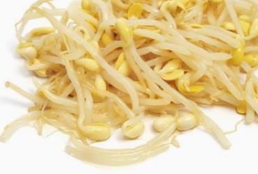 黄豆芽的功效与作用禁忌_黄豆芽禁忌人群与注意事项