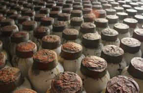 绍兴黄酒的历史基源与特点风味品鉴