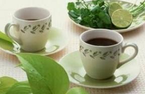 车前草泡水喝的作用与功效好处、用量_与什么一起泡茶比较好
