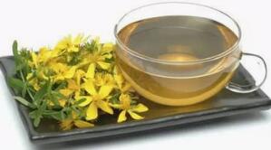 辛夷花泡水喝的作用与功效好处、用量_与什么一起泡茶比较好