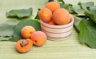 杏子的营养价值及作用功效禁忌_吃杏子的好处与妙用