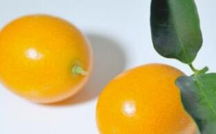 金橘的营养价值及作用功效禁忌_吃金橘的好处与妙用