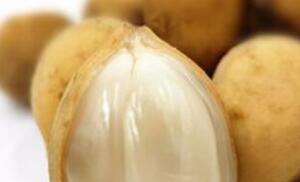 黄皮果的营养价值及作用功效禁忌_吃黄皮果的好处与妙用