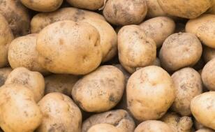 马铃薯的营养价值及作用功效禁忌_吃马铃薯的好处与养生吃法