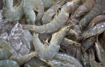 女人吃海虾的好处与禁忌_女人吃海虾的作用功效