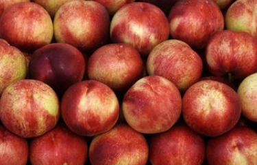 桃子的美容作用与功效_女人桃子的美容吃法与做法