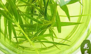 竹叶茶的作用与功效、配方_竹叶茶的泡法
