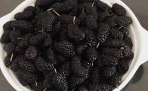 桑椹粥的作用功效与做法_桑椹粥怎么做