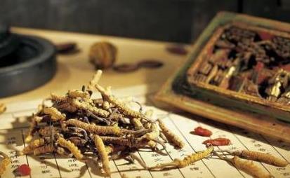 太子参泡酒的作用与功效好处_太子参和什么泡酒搭配最好