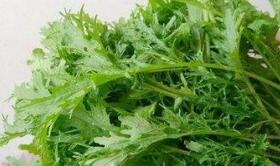 雪里蕻的最佳吃法、好处与坏处_雪里蕻的药用营养价值与功效作用