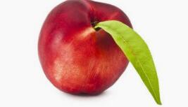 桃子的最佳吃法、好处与坏处_桃子的药用营养价值与功效作用