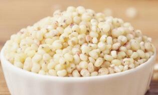 高粱米的最佳吃法、好处与坏处_高粱米的药用营养价值与功效作用