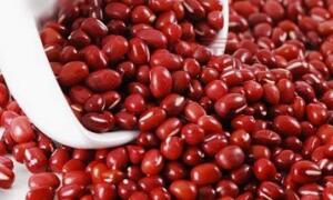 红小豆的最佳吃法、好处与坏处_红小豆的药用营养价值与功效作用