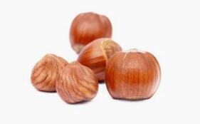 榛子的最佳吃法、好处与坏处_榛子的药用营养价值与功效作用