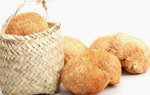 猴头菇的最佳吃法、好处与坏处_猴头菇的药用营养价值与功效作用