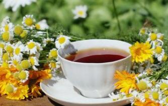 竹茹芦根茶的适应与禁忌人群_原料配方、用量用法与泡法