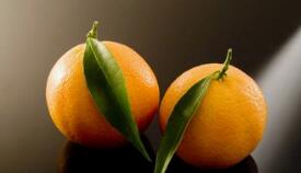 橙子的最佳搭配_橙子相克与相宜的食物有哪些