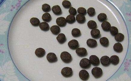 安神定志丸的出处来源、方解速记方歌口诀、主治功效