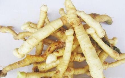 1575366258668603.jpg 玉竹.jpg