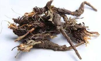 甘松的炮制方法及原理作用功效_不同炮制方法有哪些